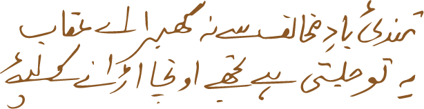 Urdu Shair